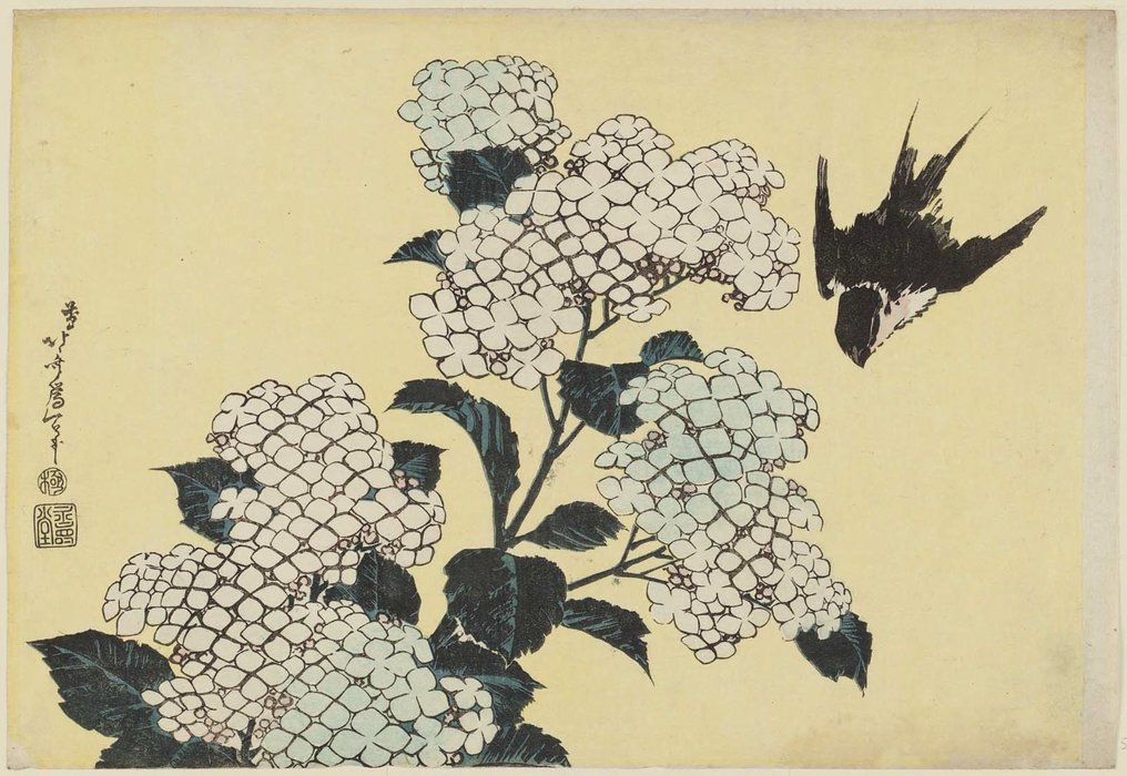 Wikioo.org - The Encyclopedia of Fine Arts - Painting, Artwork by Katsushika Hokusai - Hydrangeas And Swallow