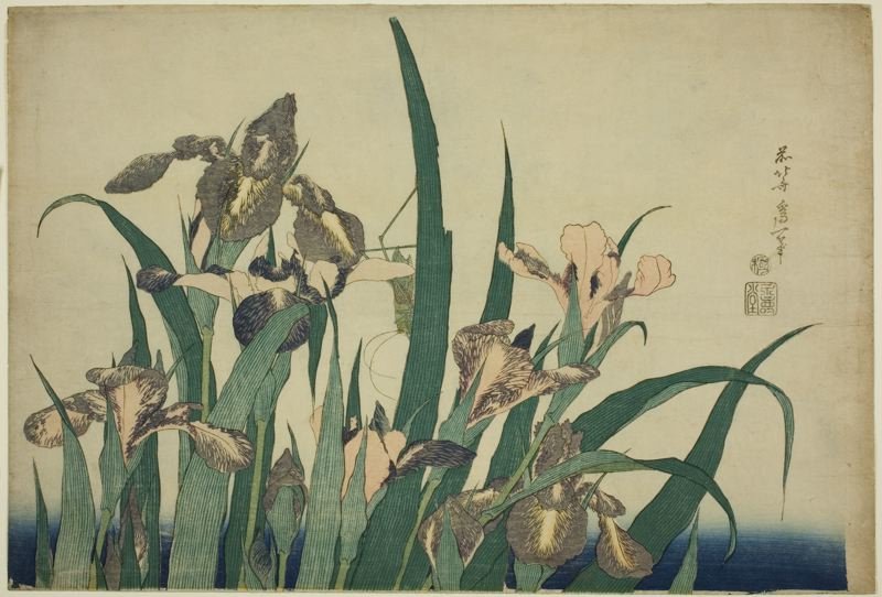 Wikioo.org - The Encyclopedia of Fine Arts - Painting, Artwork by Katsushika Hokusai - Iris And Grasshopper