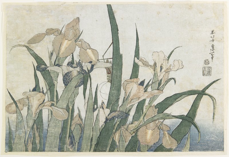 WikiOO.org - Encyclopedia of Fine Arts - Maľba, Artwork Katsushika Hokusai - Iris Flowers And Grasshopper