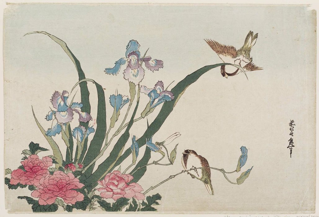 Wikioo.org – L'Encyclopédie des Beaux Arts - Peinture, Oeuvre de Katsushika Hokusai - IRIS , Pivoines , Moineaux , et dragonfly
