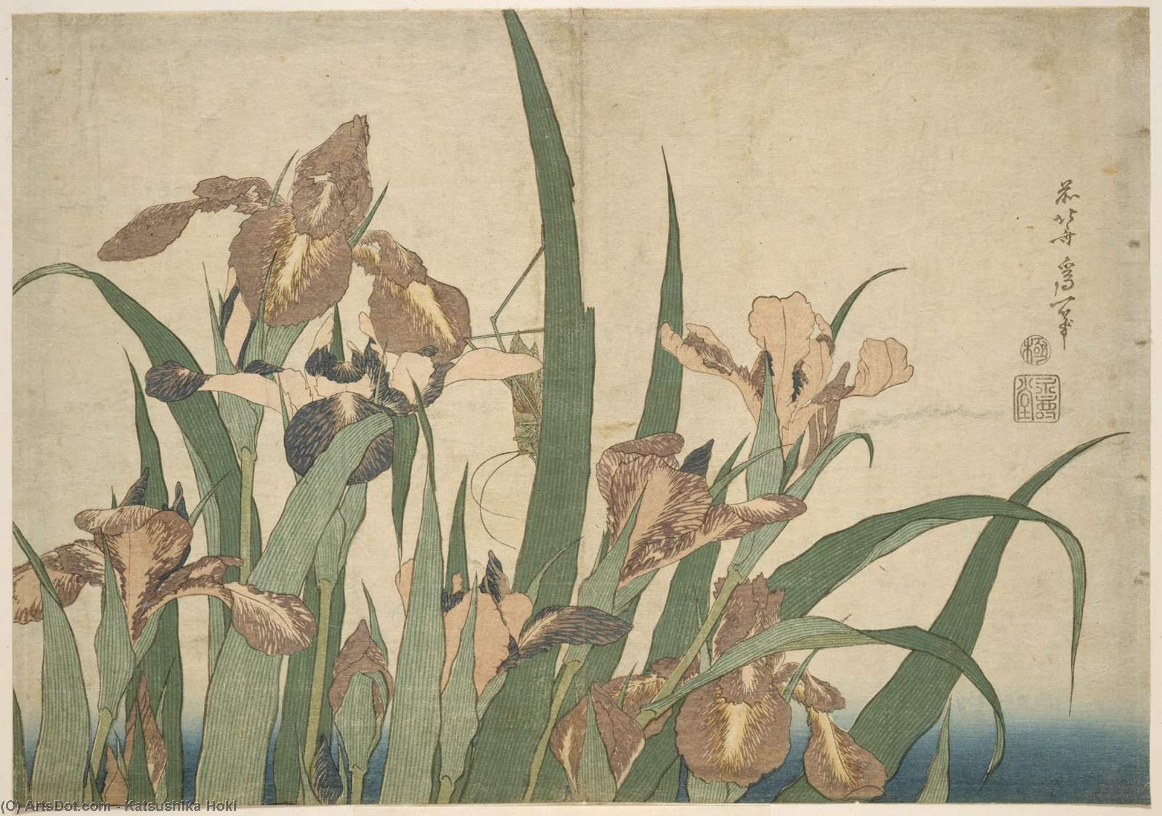 Wikioo.org - Bách khoa toàn thư về mỹ thuật - Vẽ tranh, Tác phẩm nghệ thuật Katsushika Hokusai - Irises And Grasshopper