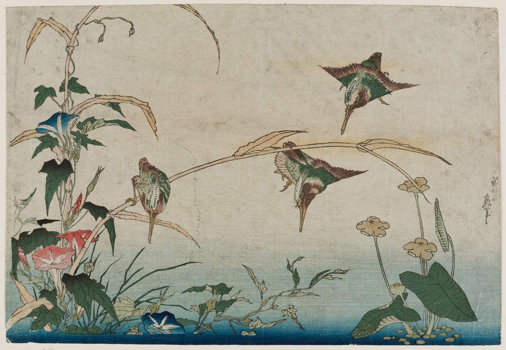 Wikioo.org - Bách khoa toàn thư về mỹ thuật - Vẽ tranh, Tác phẩm nghệ thuật Katsushika Hokusai - Kingfishers, Reeds, And Morning Glories