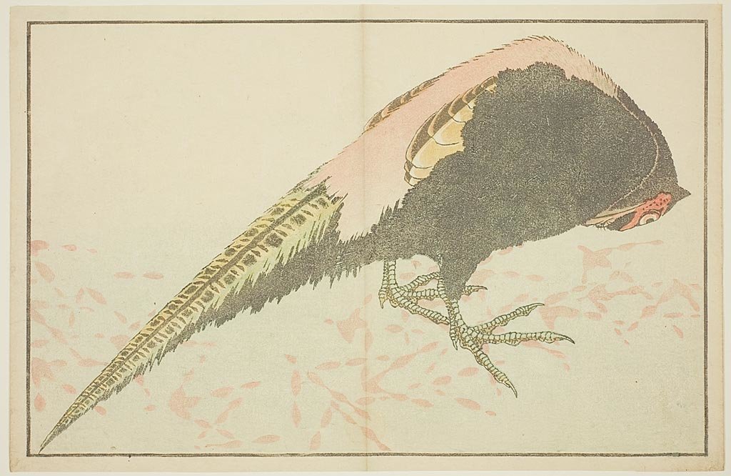 WikiOO.org - Енциклопедия за изящни изкуства - Живопис, Произведения на изкуството Katsushika Hokusai - Male Pheasant