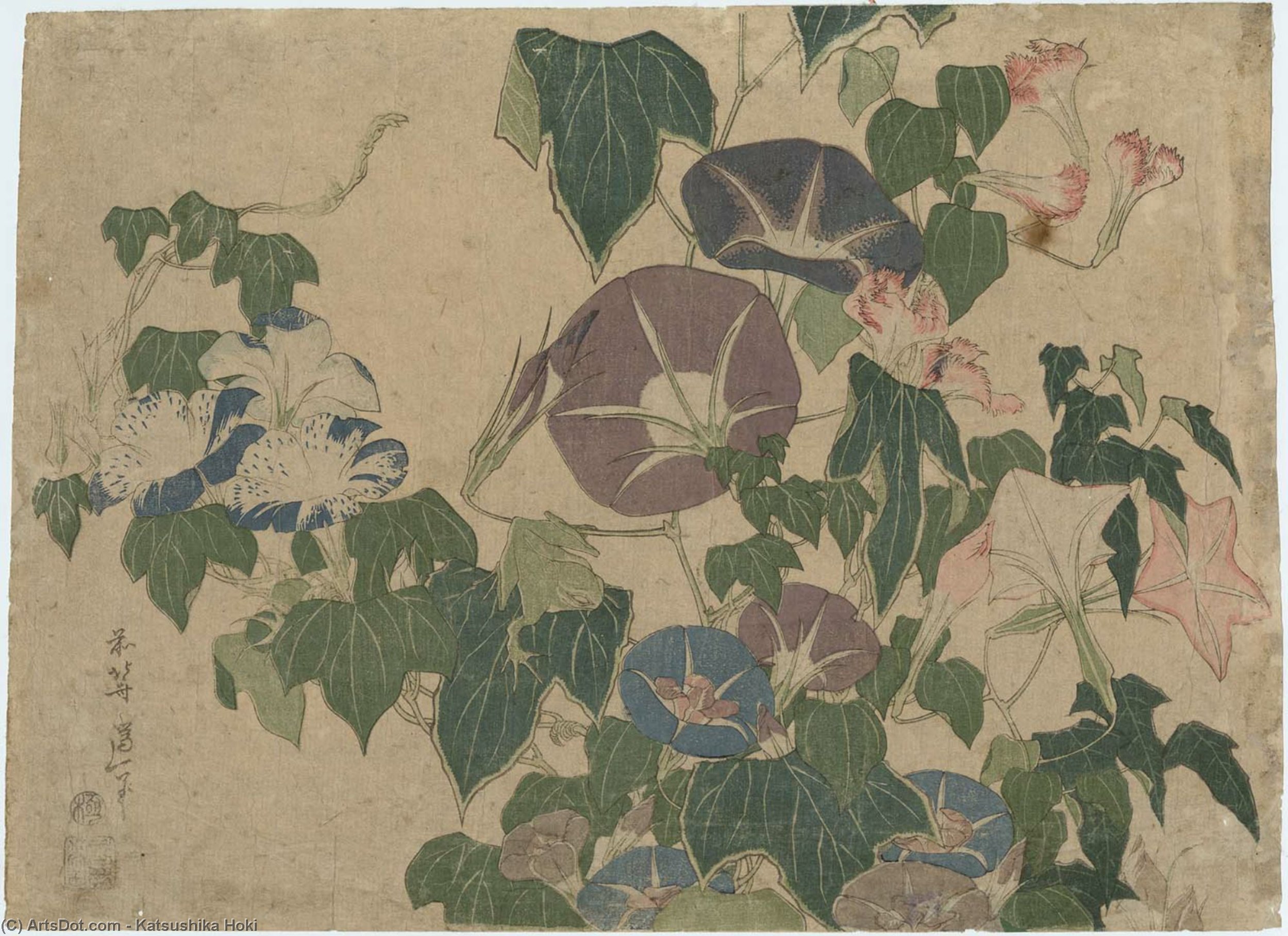Wikioo.org - The Encyclopedia of Fine Arts - Painting, Artwork by Katsushika Hokusai - Morning Glories And Tree Frog