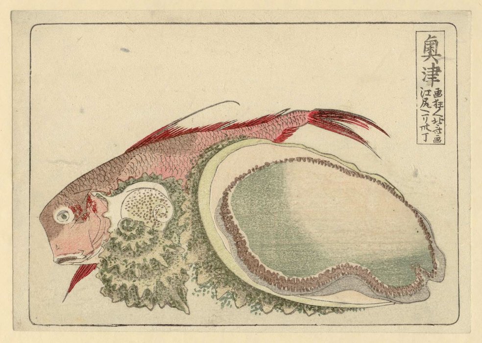 Wikioo.org - The Encyclopedia of Fine Arts - Painting, Artwork by Katsushika Hokusai - Okitsu
