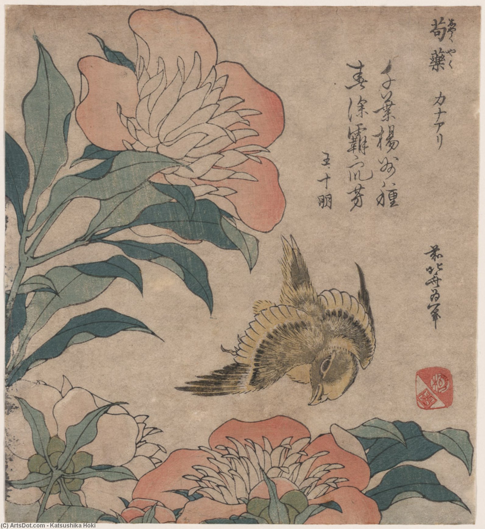 Wikioo.org - The Encyclopedia of Fine Arts - Painting, Artwork by Katsushika Hokusai - Peony And Canary