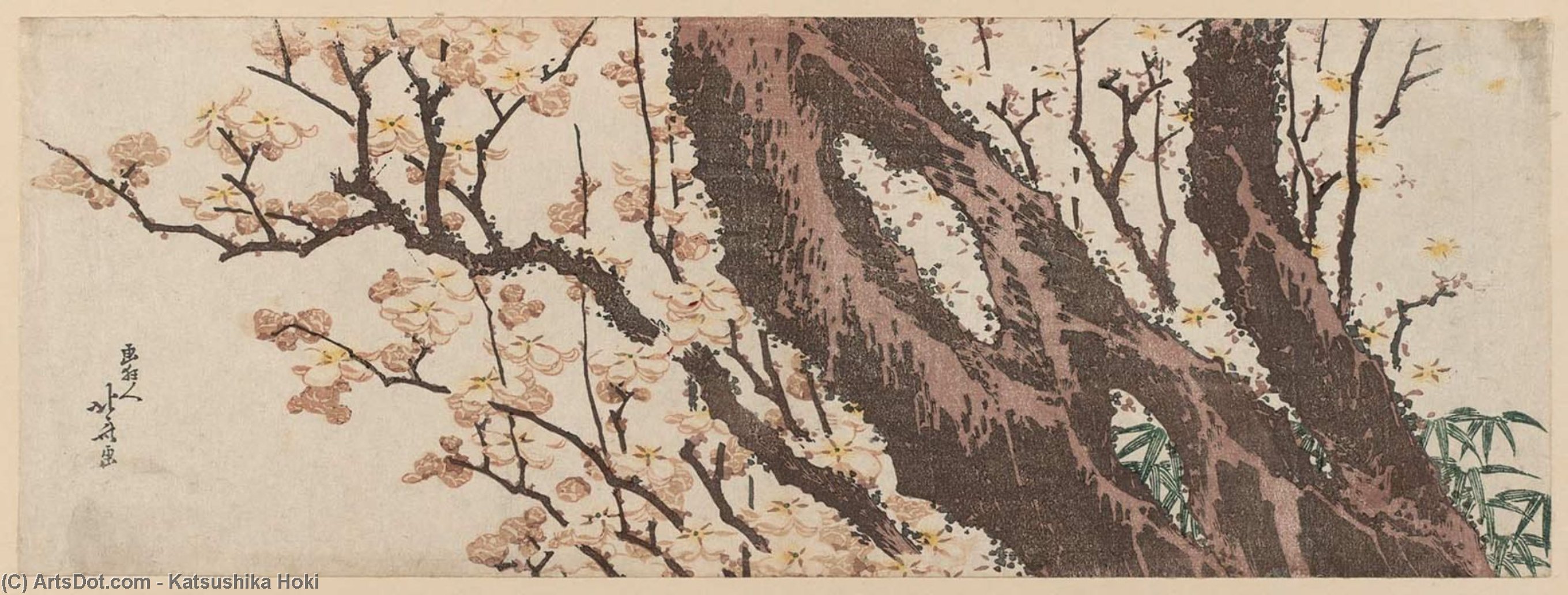 Wikioo.org – La Enciclopedia de las Bellas Artes - Pintura, Obras de arte de Katsushika Hokusai - ciruelo asícomo  bambú  hierba