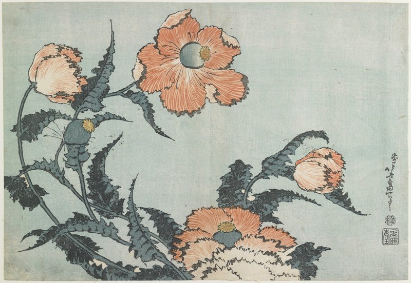 WikiOO.org - Encyclopedia of Fine Arts - Maľba, Artwork Katsushika Hokusai - Poppies