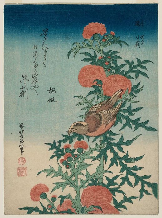 Wikioo.org - The Encyclopedia of Fine Arts - Painting, Artwork by Katsushika Hokusai - Shrike And Blessed Thistle