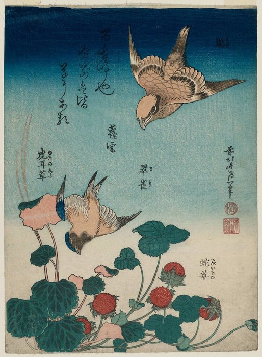WikiOO.org - 百科事典 - 絵画、アートワーク Katsushika Hokusai - シュライクとブルーバードとベゴニア、ワイルドストロベリー