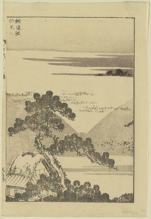 Wikioo.org - สารานุกรมวิจิตรศิลป์ - จิตรกรรม Katsushika Hokusai - Snake Chasing Mount Fuji