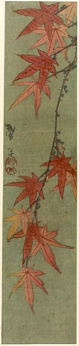 Wikioo.org - The Encyclopedia of Fine Arts - Painting, Artwork by Katsushika Hokusai - Spray Of Red Maple