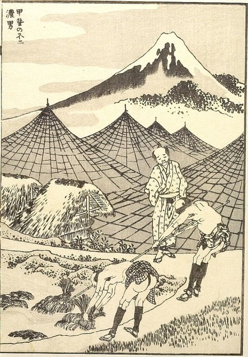 Wikioo.org - The Encyclopedia of Fine Arts - Painting, Artwork by Katsushika Hokusai - The Farmland Of Fuji In Kai Province