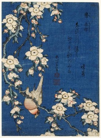 Wikioo.org - The Encyclopedia of Fine Arts - Painting, Artwork by Katsushika Hokusai - Weeping Cherry And Bullfinch