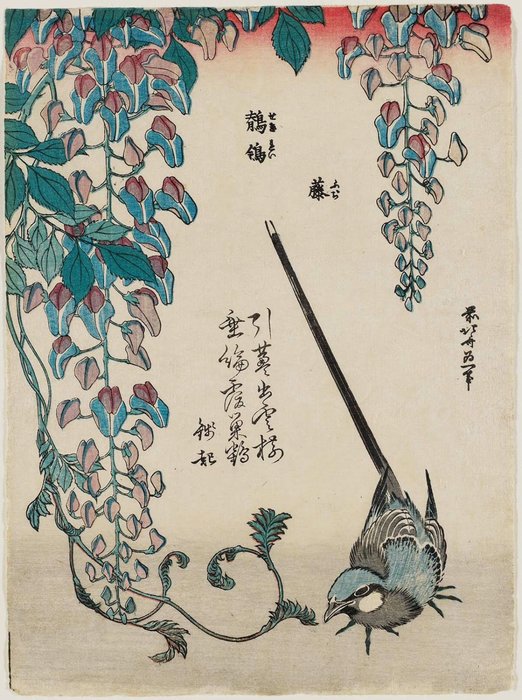 Wikioo.org – La Enciclopedia de las Bellas Artes - Pintura, Obras de arte de Katsushika Hokusai - Wisteria Y Lavandera