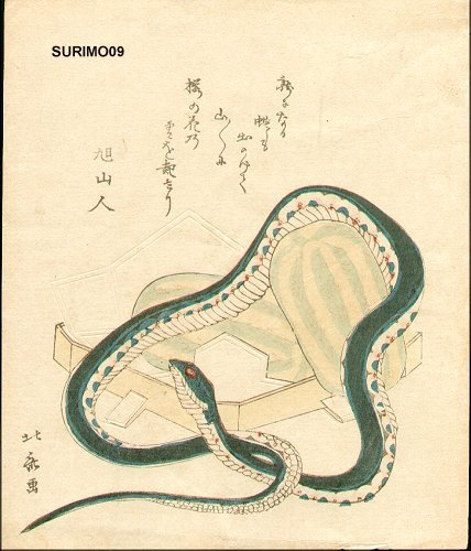 Wikioo.org - The Encyclopedia of Fine Arts - Painting, Artwork by Katsushika Hokusai - Year Of Snake