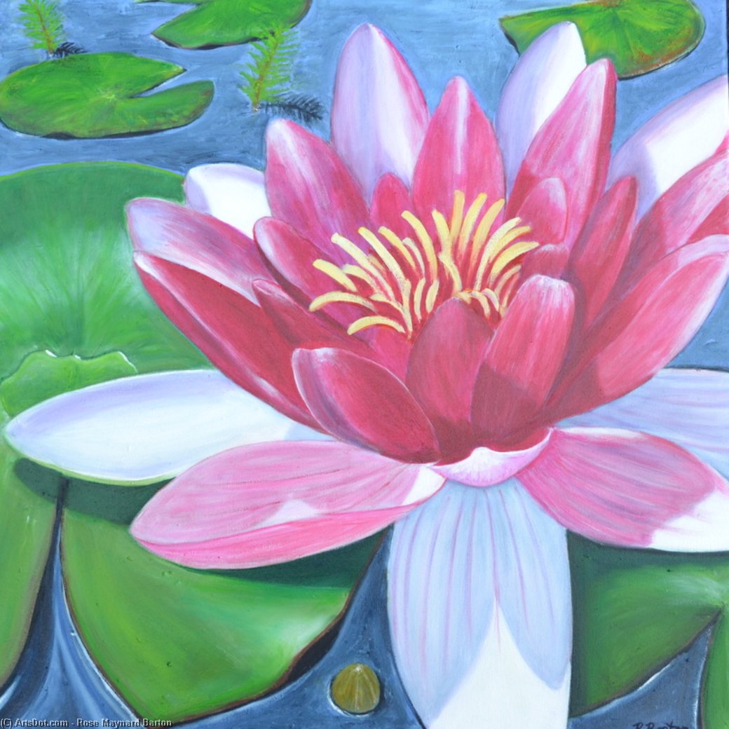 Wikioo.org - The Encyclopedia of Fine Arts - Painting, Artwork by Rose Maynard Barton - Lily Pond