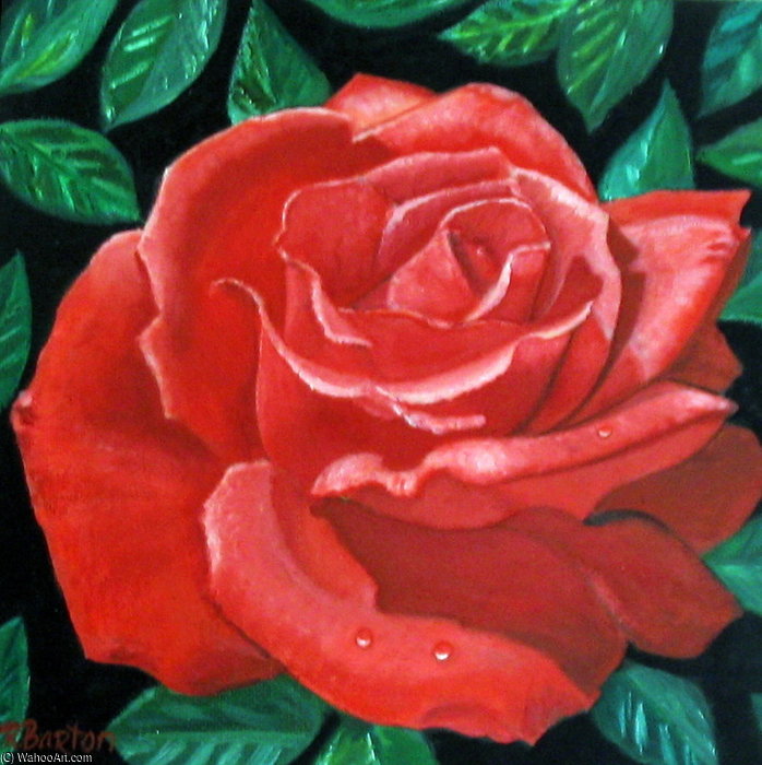 Wikioo.org - สารานุกรมวิจิตรศิลป์ - จิตรกรรม Rose Maynard Barton - Red Rose