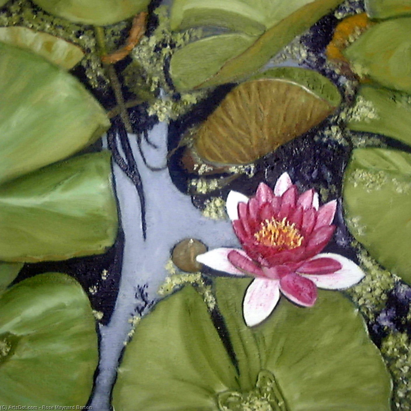 Wikioo.org - The Encyclopedia of Fine Arts - Painting, Artwork by Rose Maynard Barton - Waterlily Pond