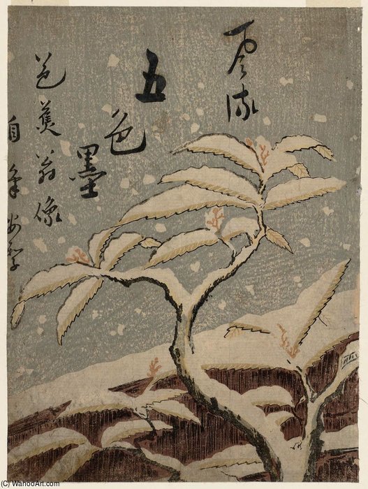 Wikioo.org - The Encyclopedia of Fine Arts - Painting, Artwork by Suzuki Harunobu - Portrait Of Bashô