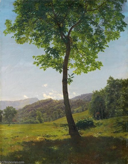 Wikioo.org - สารานุกรมวิจิตรศิลป์ - จิตรกรรม Robert Zund - Blick Auf Das Stanserhorn View To The Stanserhorn