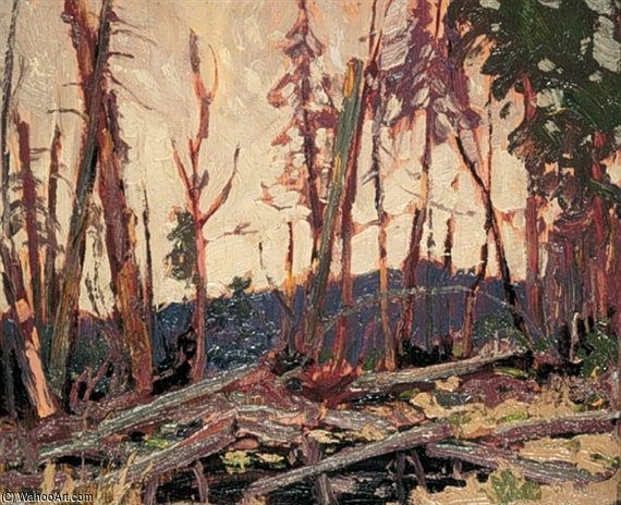 WikiOO.org - אנציקלופדיה לאמנויות יפות - ציור, יצירות אמנות Thomas Thompson - Burnt Country, Evening