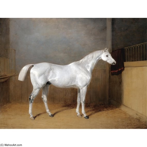 Wikioo.org – L'Enciclopedia delle Belle Arti - Pittura, Opere di William Barraud - Una preferita Grigio cavallo di George Reed piedi in una scatola sciolto
