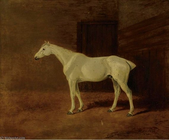 WikiOO.org - Encyclopedia of Fine Arts - Schilderen, Artwork William Barraud - Grey Hunter In A Stable