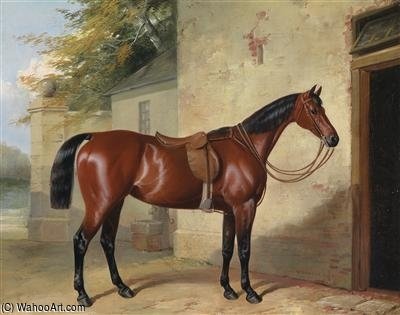 Wikioo.org - The Encyclopedia of Fine Arts - Painting, Artwork by William Barraud - Saddled Bay