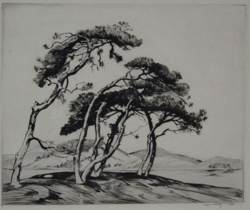 Wikioo.org - สารานุกรมวิจิตรศิลป์ - จิตรกรรม Alfred Heber Hutty - Northern Pines Dark