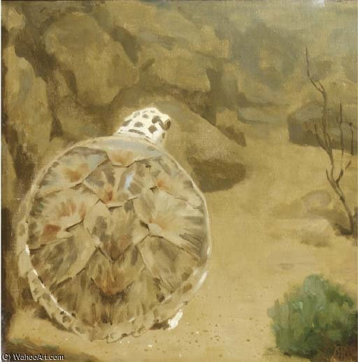 Wikioo.org - The Encyclopedia of Fine Arts - Painting, Artwork by Gerrit Willem Dijsselhof - A Turtle