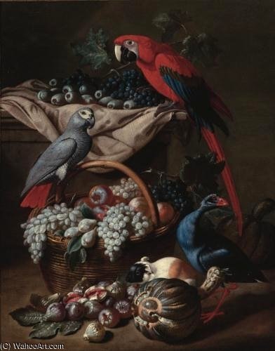 Wikioo.org - The Encyclopedia of Fine Arts - Painting, Artwork by Jacob Van Der (Giacomo Da Castello) Kerckhoven - Still Life With Two Parrots, A Guinea Pig