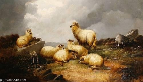 Wikioo.org - The Encyclopedia of Fine Arts - Painting, Artwork by John Morris - Sheep In A Highland Landscape