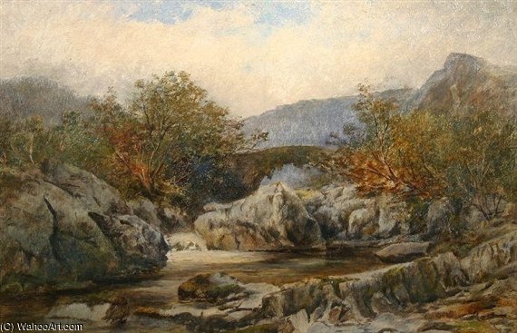 Wikioo.org - The Encyclopedia of Fine Arts - Painting, Artwork by John Syer - River Scene With Bridge And Rocky Pool