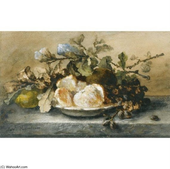 Wikioo.org - The Encyclopedia of Fine Arts - Painting, Artwork by Margaretha Roosenboom - A Still Life With Fruit On A Ledge