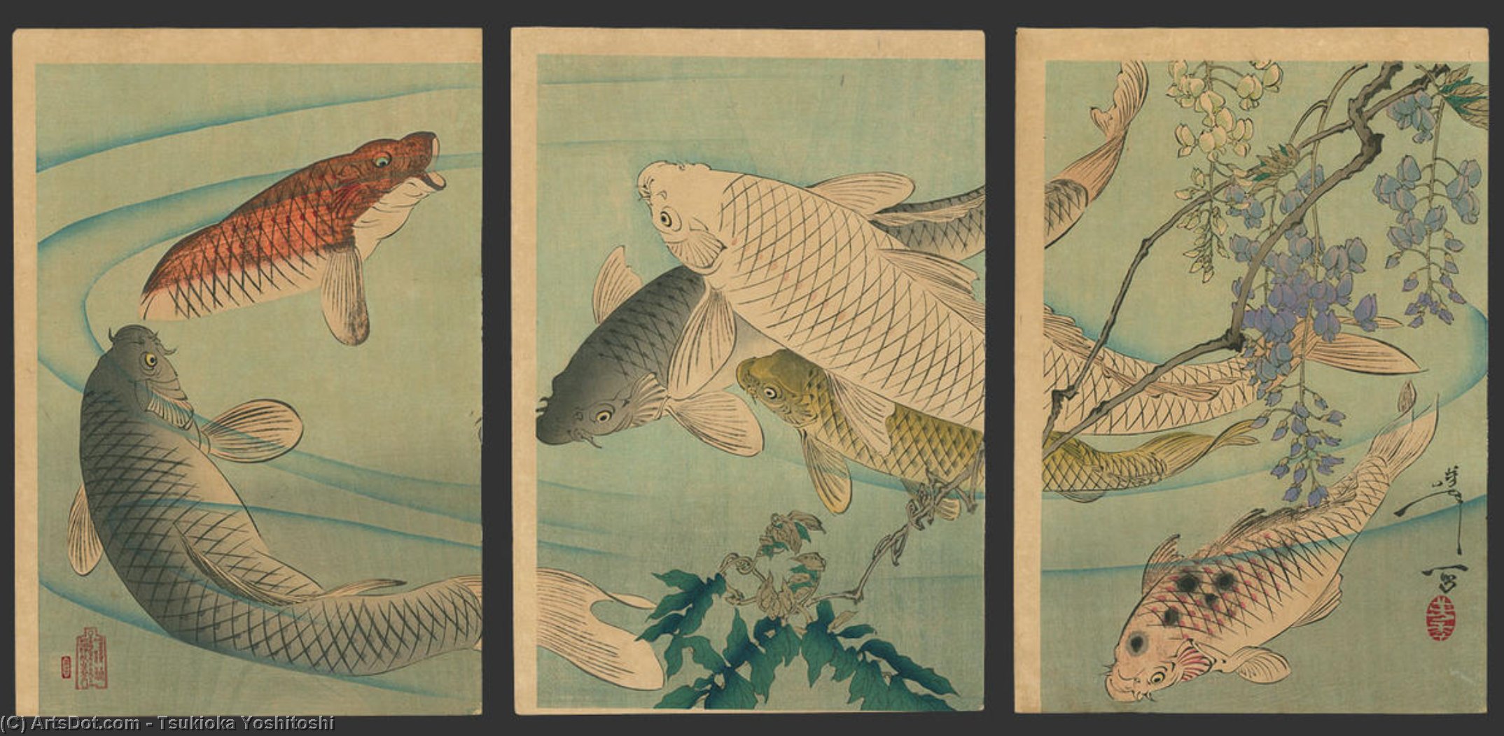 Wikioo.org – L'Encyclopédie des Beaux Arts - Peinture, Oeuvre de Tsukioka Yoshitoshi - koi natation sous wistéria