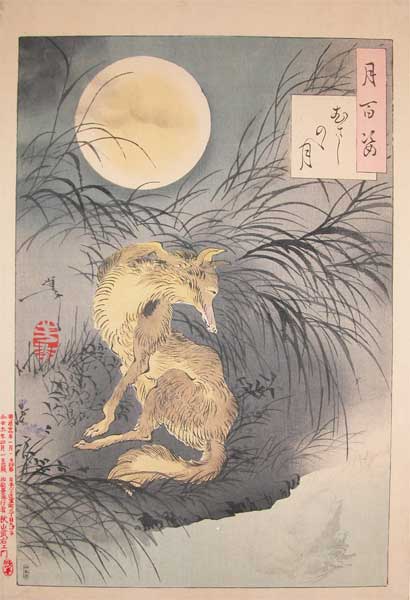 Wikioo.org – La Enciclopedia de las Bellas Artes - Pintura, Obras de arte de Tsukioka Yoshitoshi - Magia Fox En Musashi Llanura