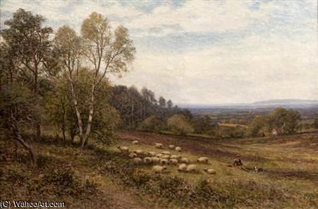 Wikioo.org - The Encyclopedia of Fine Arts - Painting, Artwork by Alfred I Glendening - The Young Shepherd And His Flock