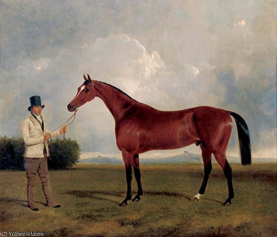 Wikioo.org - The Encyclopedia of Fine Arts - Painting, Artwork by George Cole Senior - A Bay Racehorse Held