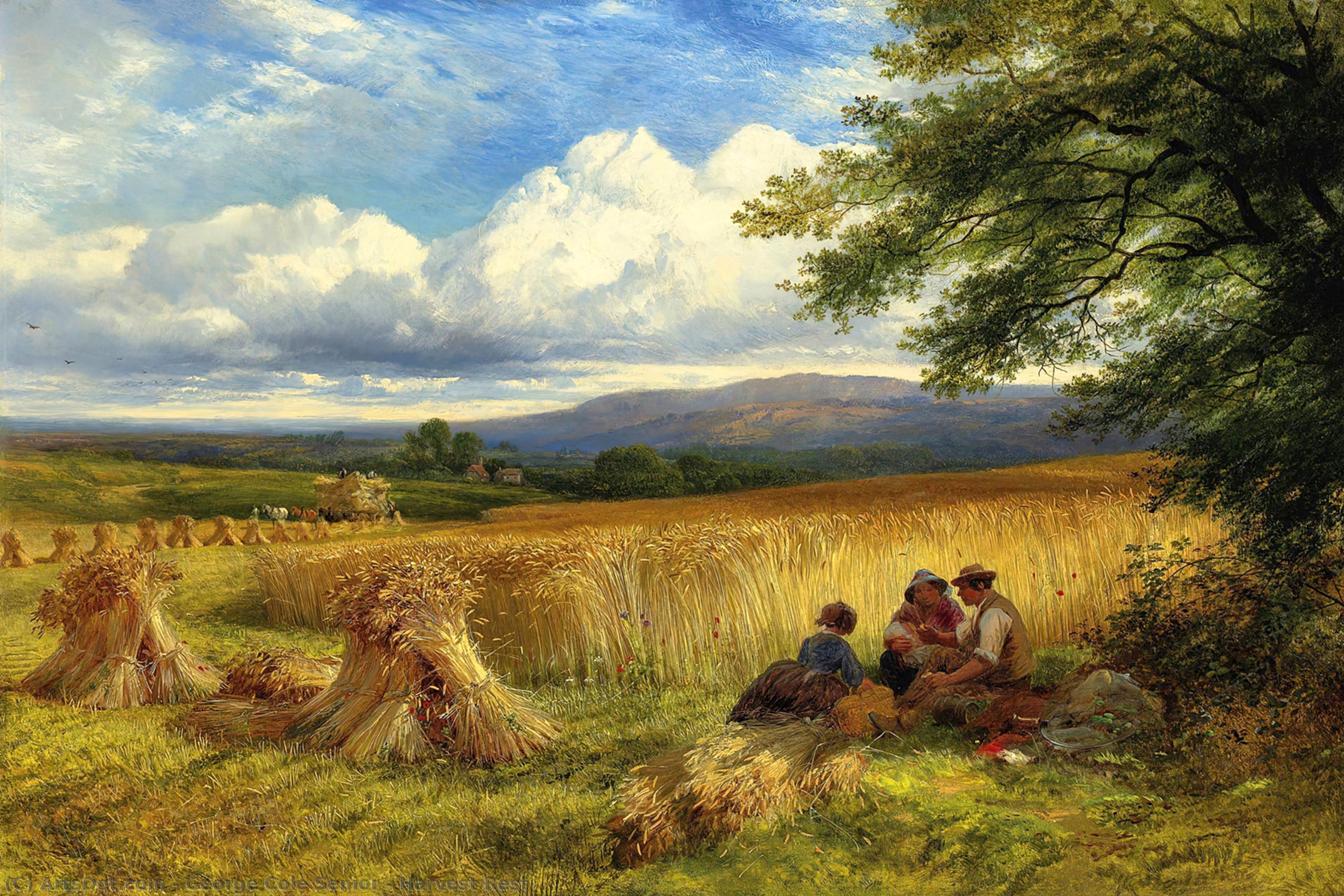 Wikioo.org - The Encyclopedia of Fine Arts - Painting, Artwork by George Cole Senior - Harvest Rest
