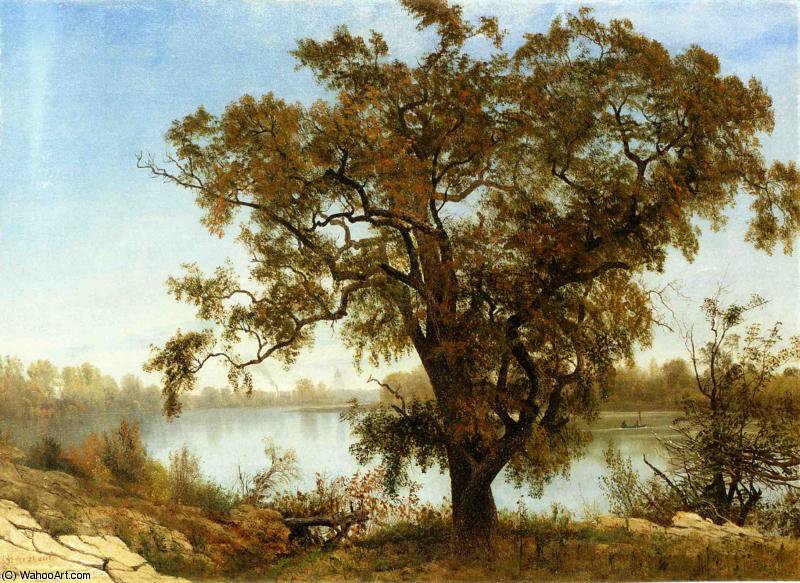 Wikioo.org - The Encyclopedia of Fine Arts - Painting, Artwork by Albert Bierstadt - A View from Sacramento
