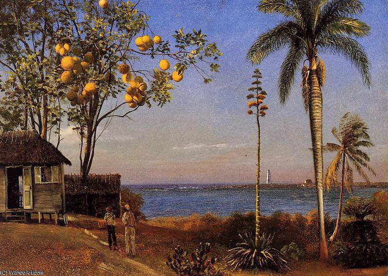WikiOO.org - Enciclopédia das Belas Artes - Pintura, Arte por Albert Bierstadt - A View in the Bahamas