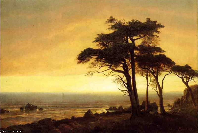Wikioo.org - The Encyclopedia of Fine Arts - Painting, Artwork by Albert Bierstadt - California Coast