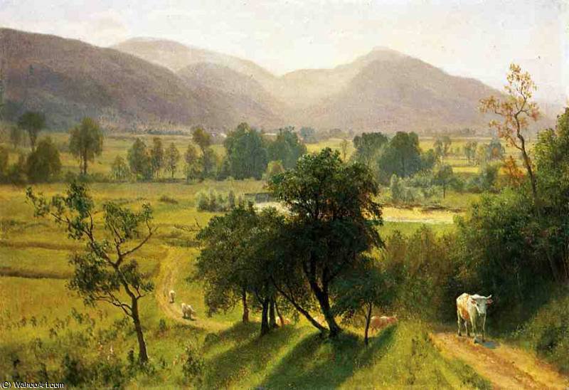 Wikioo.org - Die Enzyklopädie bildender Kunst - Malerei, Kunstwerk von Albert Bierstadt - conway tal , usa