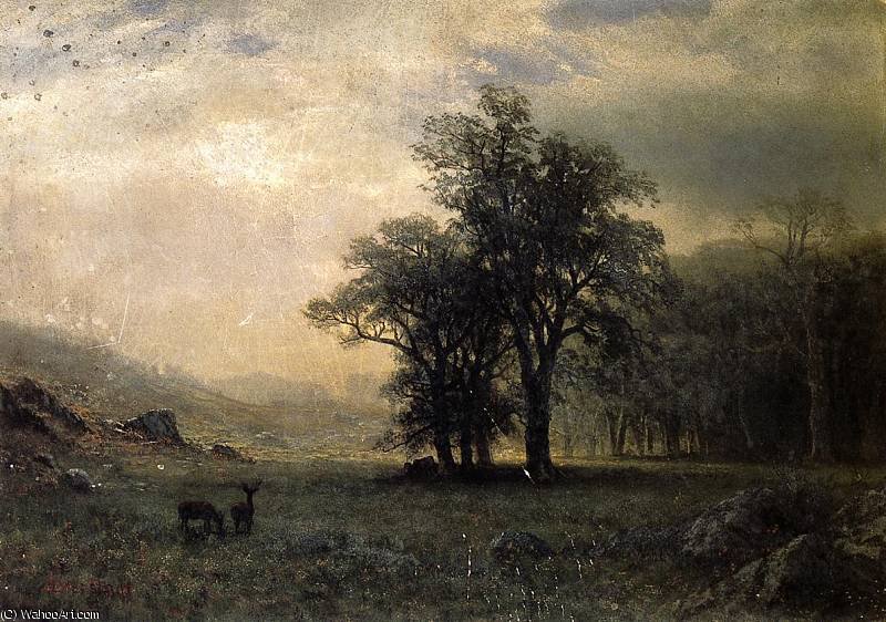 Wikioo.org – L'Enciclopedia delle Belle Arti - Pittura, Opere di Albert Bierstadt - Cervo in un paesaggio