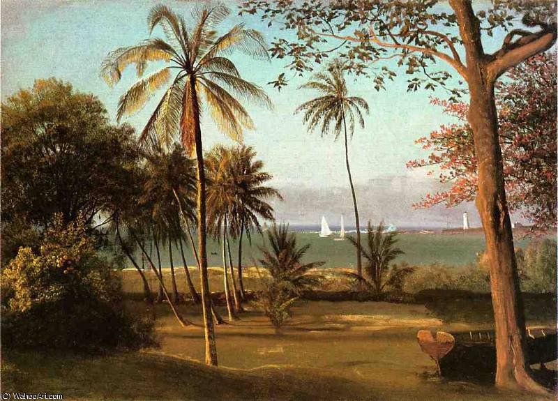 Wikioo.org - Die Enzyklopädie bildender Kunst - Malerei, Kunstwerk von Albert Bierstadt - florida szene