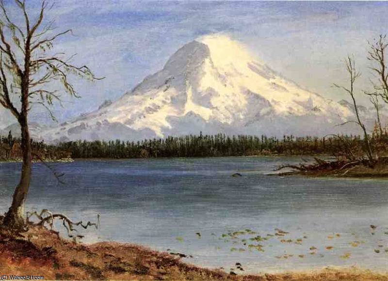 Wikioo.org – L'Enciclopedia delle Belle Arti - Pittura, Opere di Albert Bierstadt - Lake nelle Montagne Rocciose