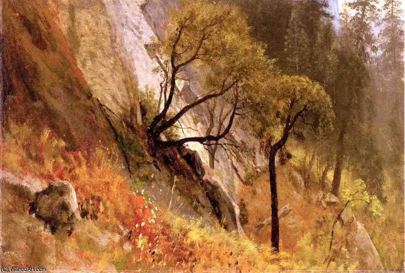 Wikioo.org - The Encyclopedia of Fine Arts - Painting, Artwork by Albert Bierstadt - Landscape Study. Yosemite, California