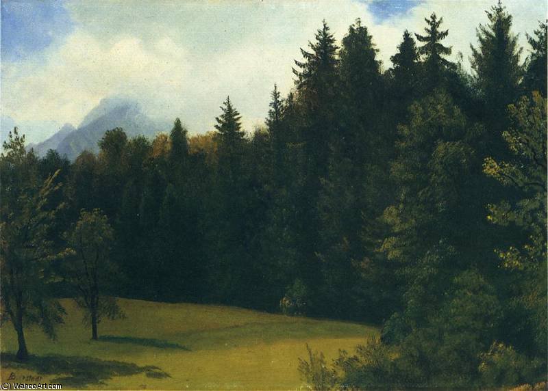 Wikioo.org - สารานุกรมวิจิตรศิลป์ - จิตรกรรม Albert Bierstadt - mountain resort