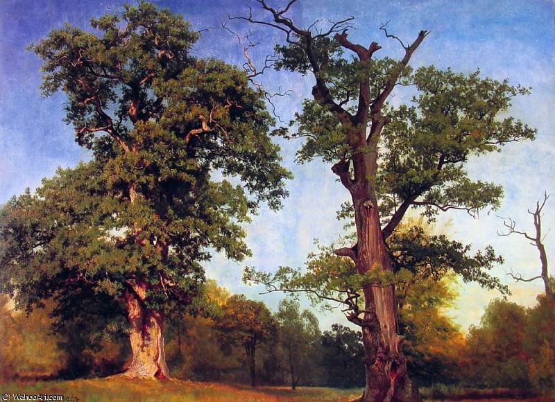 Wikioo.org - สารานุกรมวิจิตรศิลป์ - จิตรกรรม Albert Bierstadt - Pioneers of the Woods